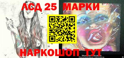 2c-b Камышлов