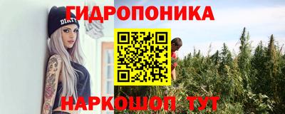 ECSTASY Кандалакша