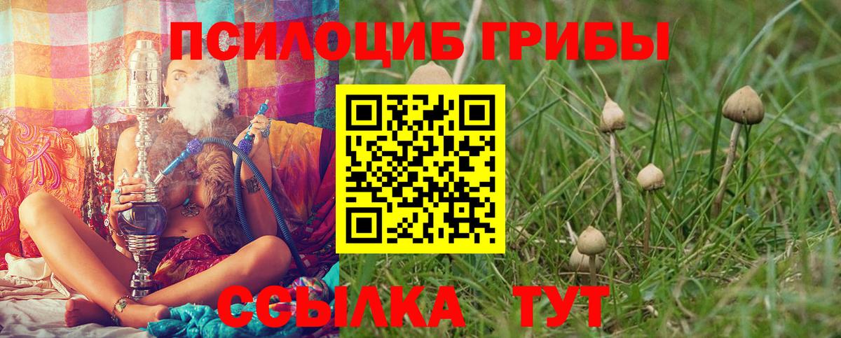 Галлюциногенные грибы Psilocybine cubensis Лангепас